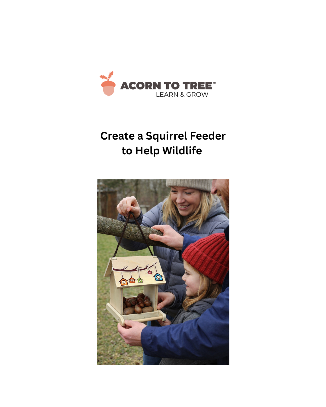 How I Turned a Bird Feeder into a Squirrel Feeder to Help Wildlife  🐿️❄️