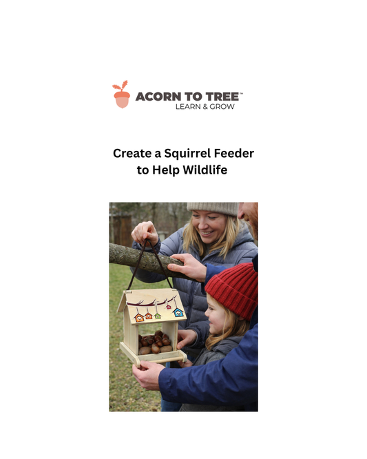 How I Turned a Bird Feeder into a Squirrel Feeder to Help Wildlife  🐿️❄️