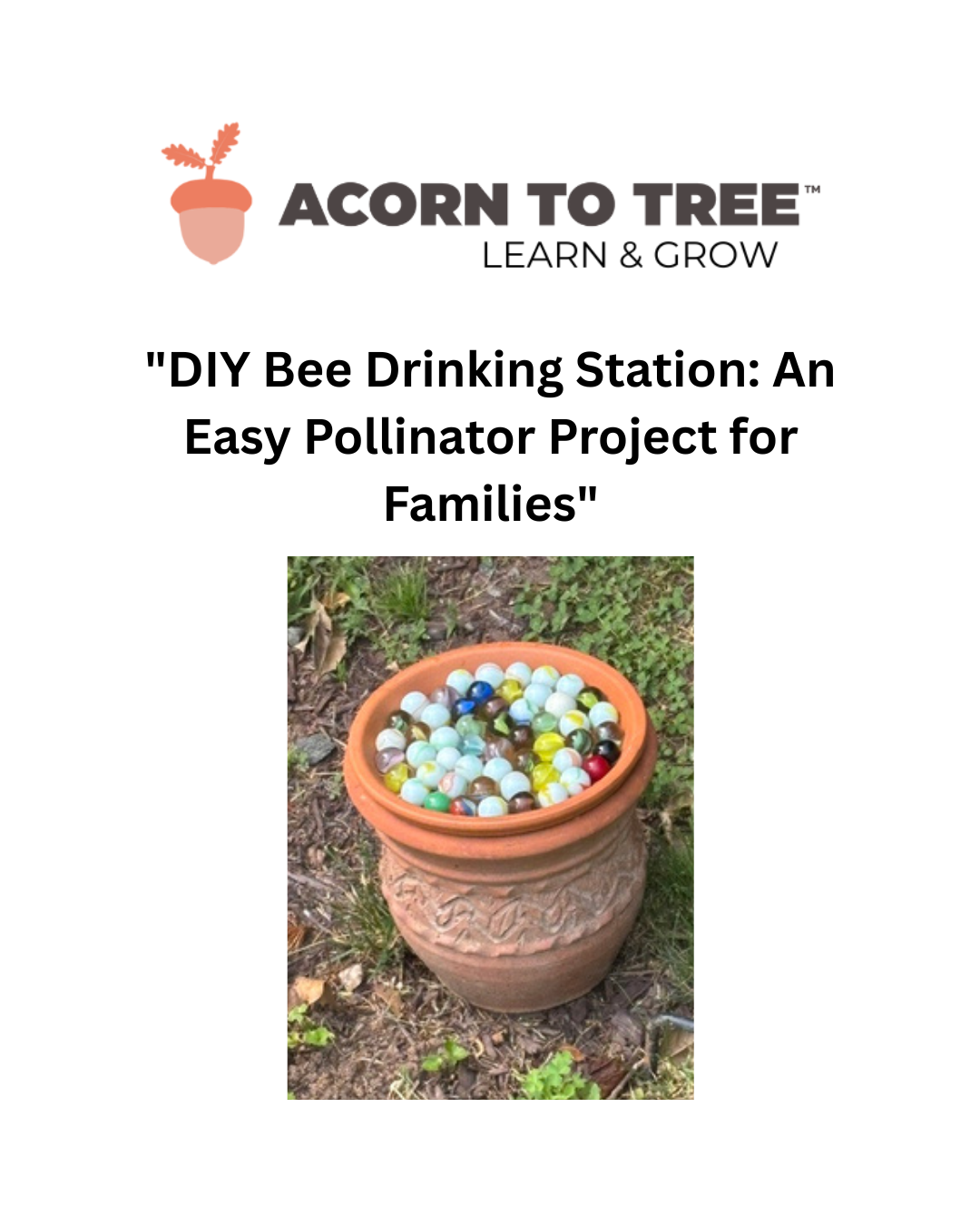 DIY Bee Drinking Station: A Simple Summer Craft That Helps Pollinators Thrive