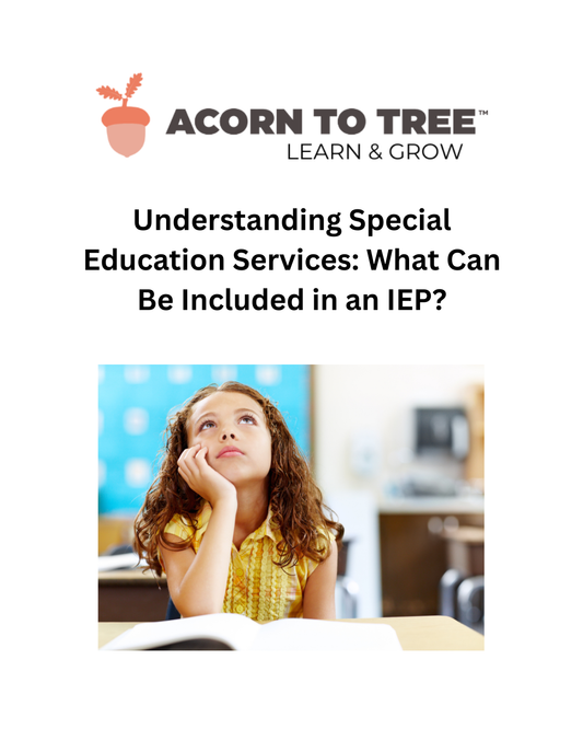 Understanding Special Education Services: What Can Be Included in an IEP?